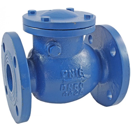 Клапан обратный чугунный Y-тип фланцевый 1,6 МПа RD30 АДЛ 50х200 мм в Казани